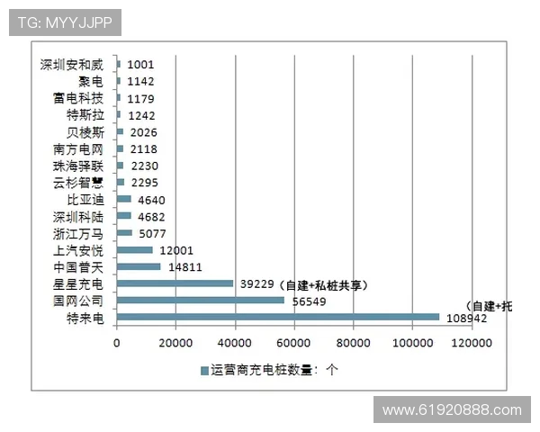 武汉排球队运营策略深度分析与发展前景探讨